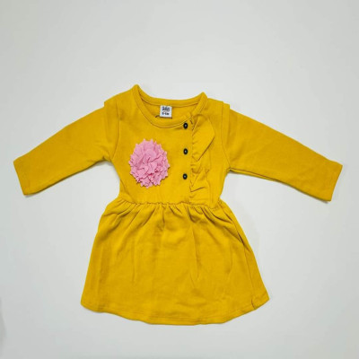 Long-Sleeve Winter Baby Dress